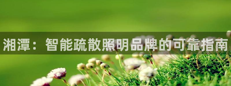 云顶国际app怎么样好用吗