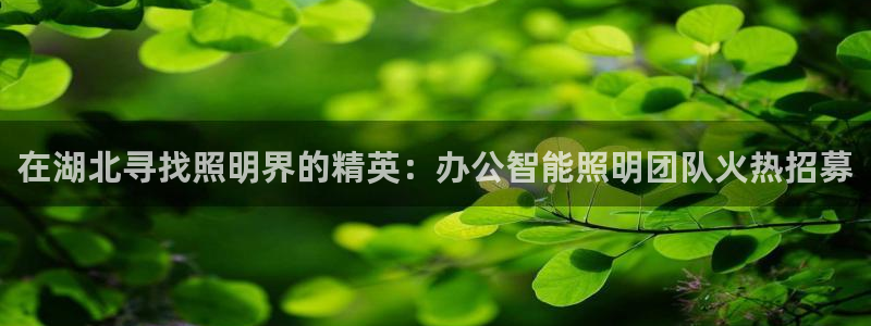马来西亚云顶集团简介