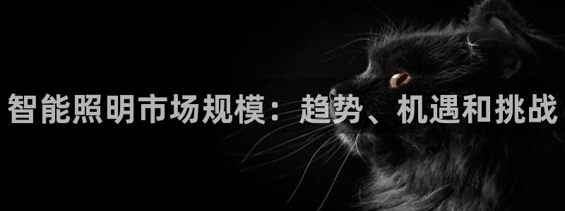 云顶国际服更新公告