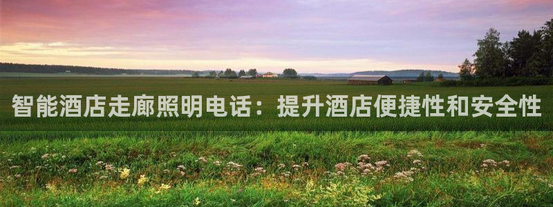云顶集团高管