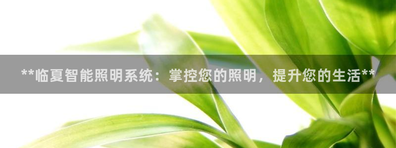 云顶国际连接