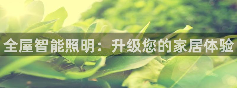 云顶国际服s9什么时候更新的