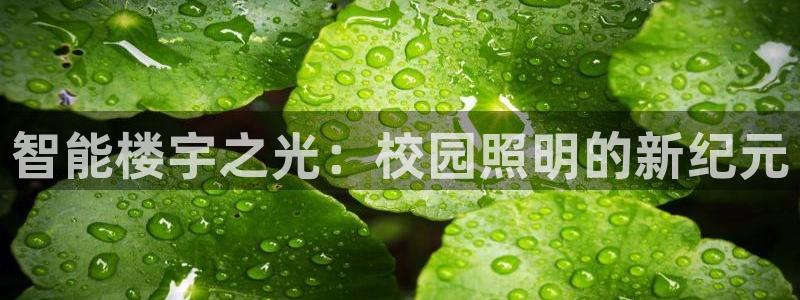 云顶国际教育