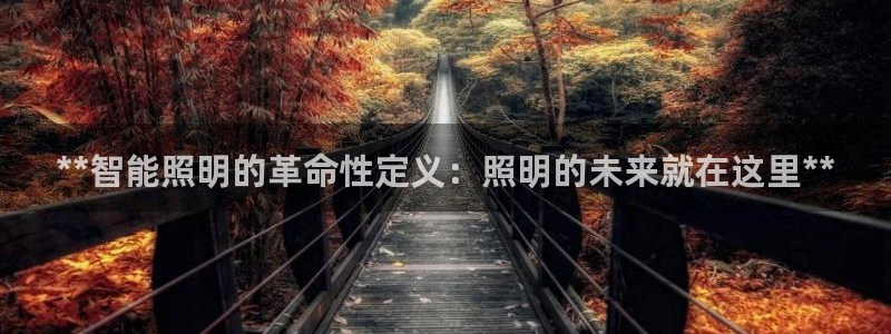 云顶集团网站app下载安装