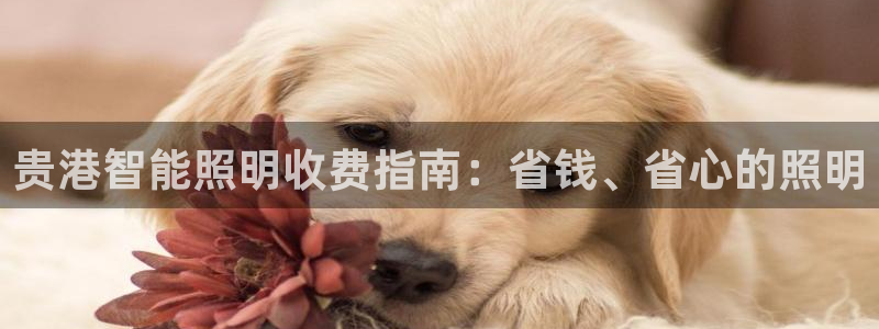 云顶国际停车费多少钱