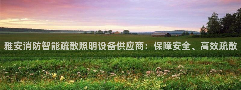 云顶最新