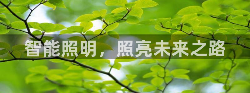 云顶国际麻将胡了多少张牌