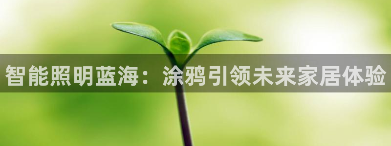 2418云顶