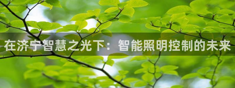 云顶国际app是什么软件
