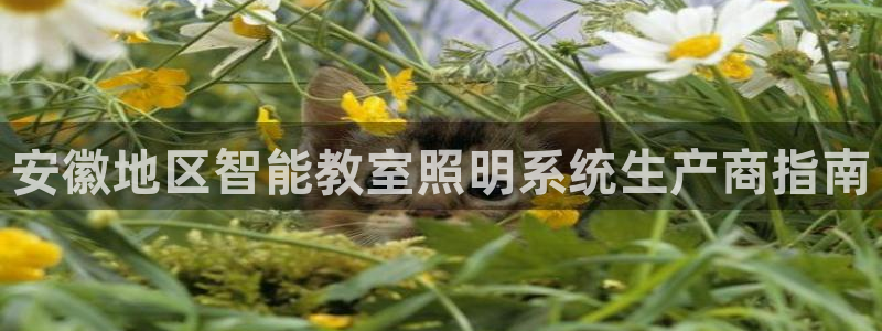 云顶集团老板是谁