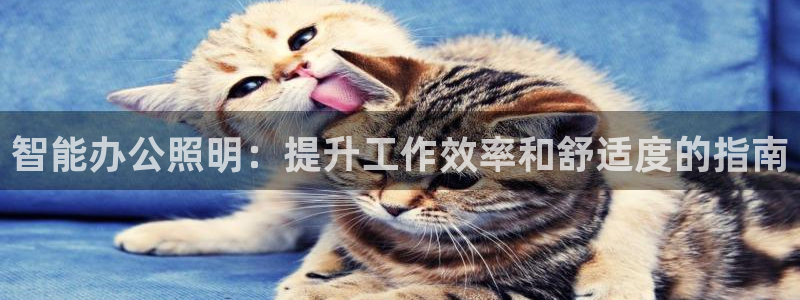 云顶最新线路检测
