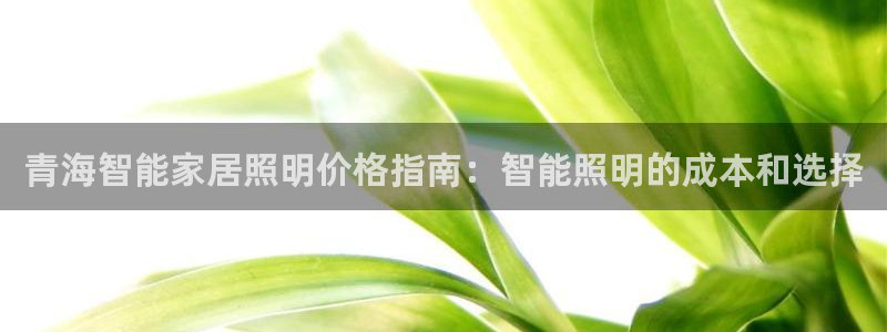 云顶集团app免费下载安装