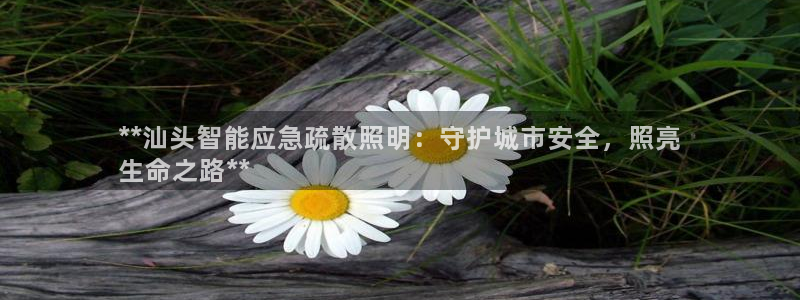云顶集团董事长林东简历