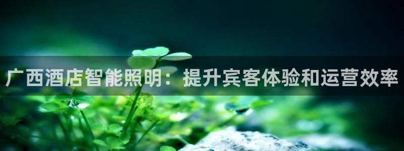 云顶国际提款不到账怎么回事