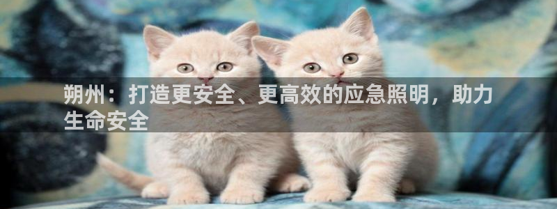云顶集团老总简介