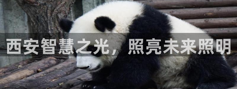 云顶国际缆车起点在哪里啊
