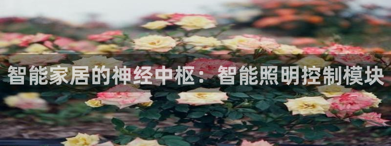 云顶7610最新