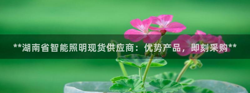 云顶集团董事长是谁