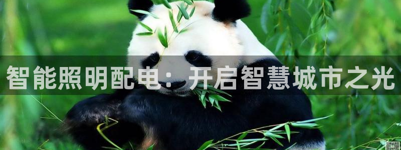 云顶集团招聘是真的吗
