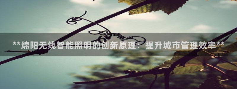 云顶电玩城游戏官网