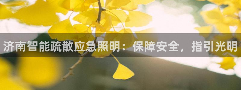 云顶国际集团