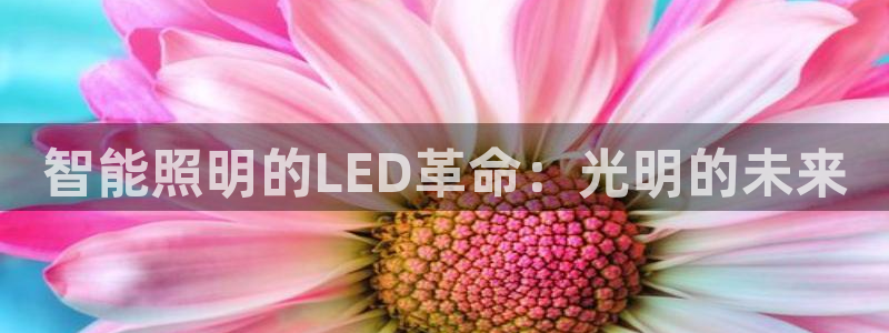 云顶国际官网