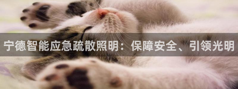 云顶国际app是什么游戏