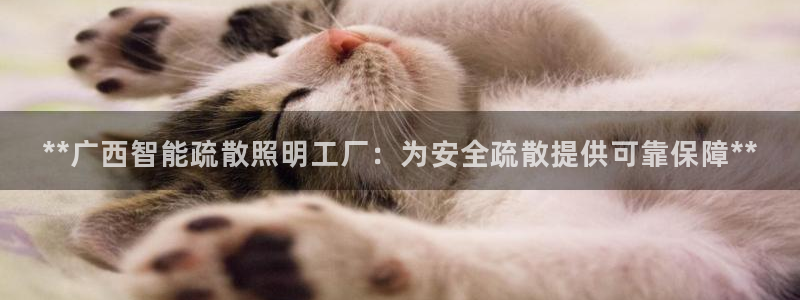 云顶国际晟荣协会