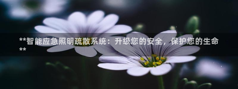 云顶国际唯一官网