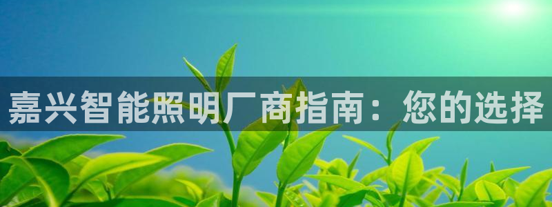 云顶国际商业广场 停车