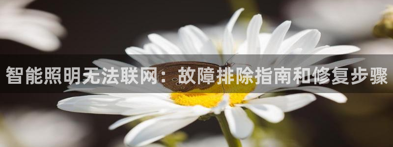 云顶国际A405