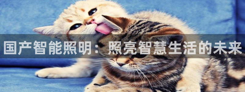 云顶国际服联机