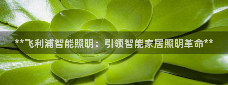 云顶国际提现多久到账