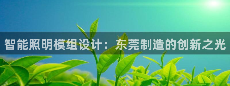 云顶dj