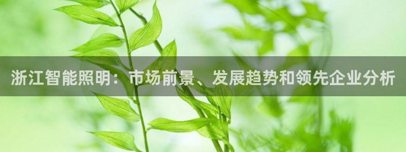云顶集团3118acm官网