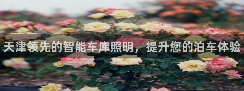 云顶集团官网电话是多少