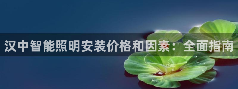云顶国际提现失败怎么办