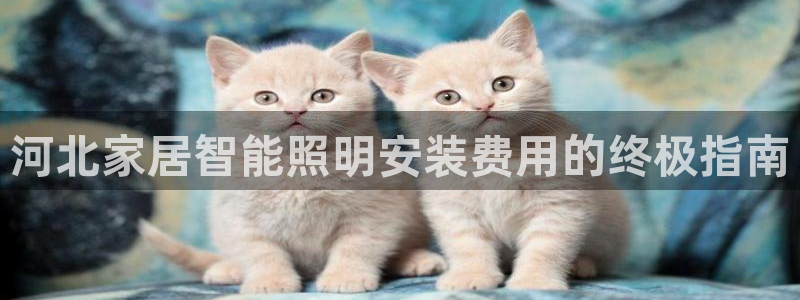 云顶集团app免费下载苹果
