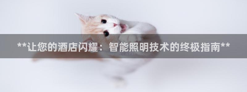 lol云顶1v0