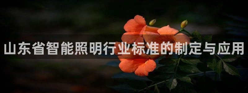 云顶集团有限公司是国企吗