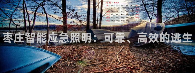 云顶集团林东简介