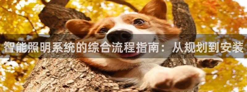 云顶国际商务会所电话