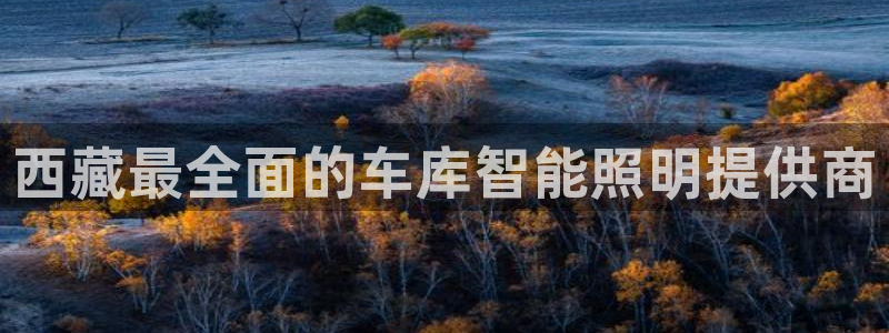 云顶国际体育官方网站入口