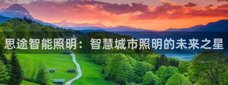 云顶t00