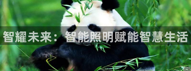 云顶国际官方网站下载手机版：智耀未来：智