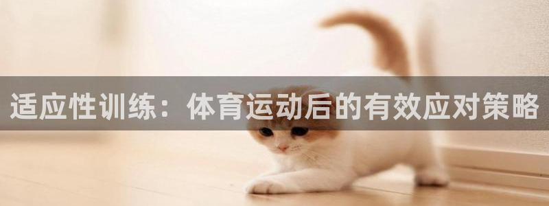 球速体育：适应性训练：体育运动后的有效应对策略