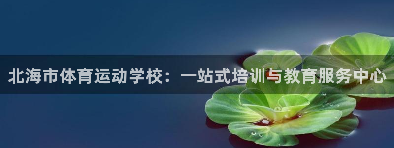 球速体育：北海市体育运动学校：一站式培训与教育服务中心