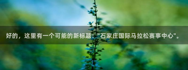 球速体育：好的，这里有一个可能的新标题：\