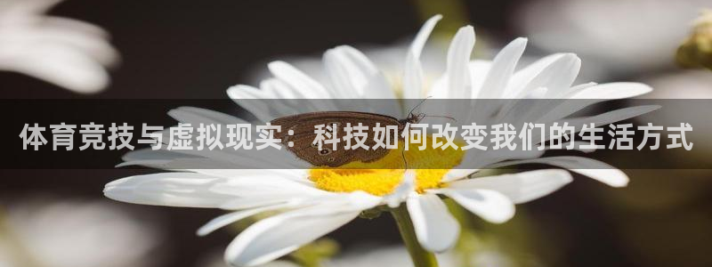 球速体育
